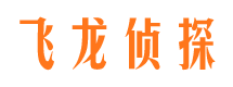 朝阳区飞龙私家侦探公司